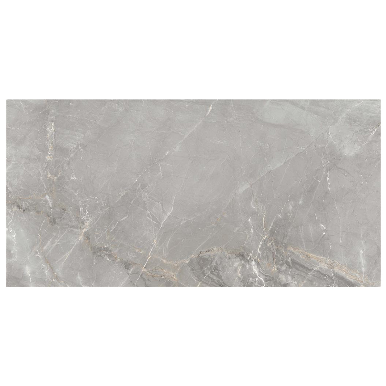 Dado Charme Grey Vloertegel 60x120cm